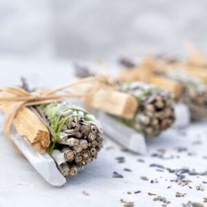 ערכת טיהור והתחדשות