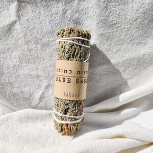 מרווה כחולה I מגנוט וניקיון