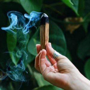 פאלו סנטו | מגנוט והתחדשות