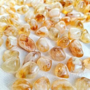 סיטרין | שפע ומגנוט